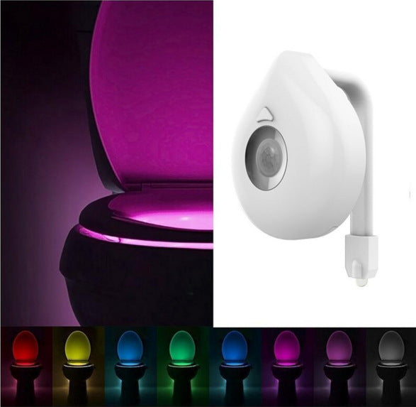 LED motion-sensor toilet night light